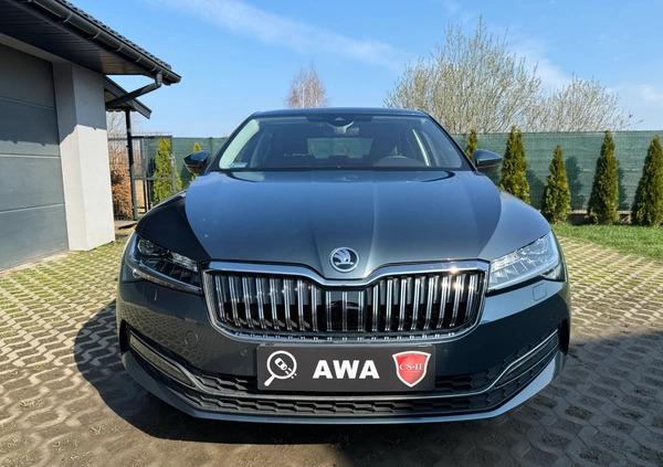 Skoda Superb cena 124900 przebieg: 50000, rok produkcji 2019 z Bełchatów małe 172